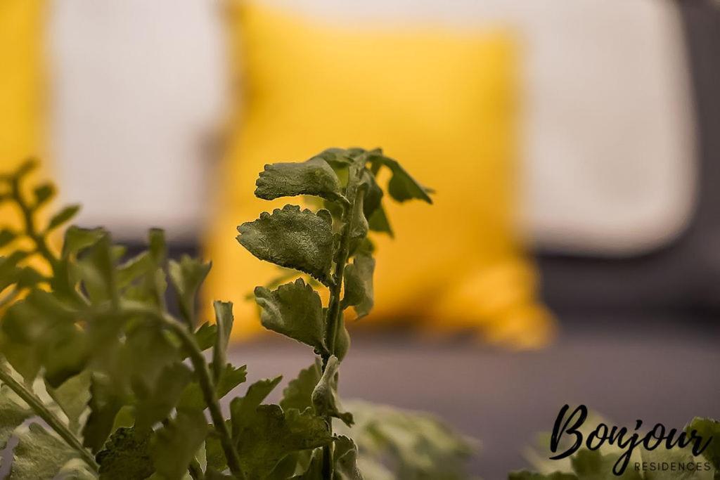 Spacious 2Br-1Ba - Grassmarket - Free Parking By Bonjour Residences إدنبرة المظهر الخارجي الصورة
